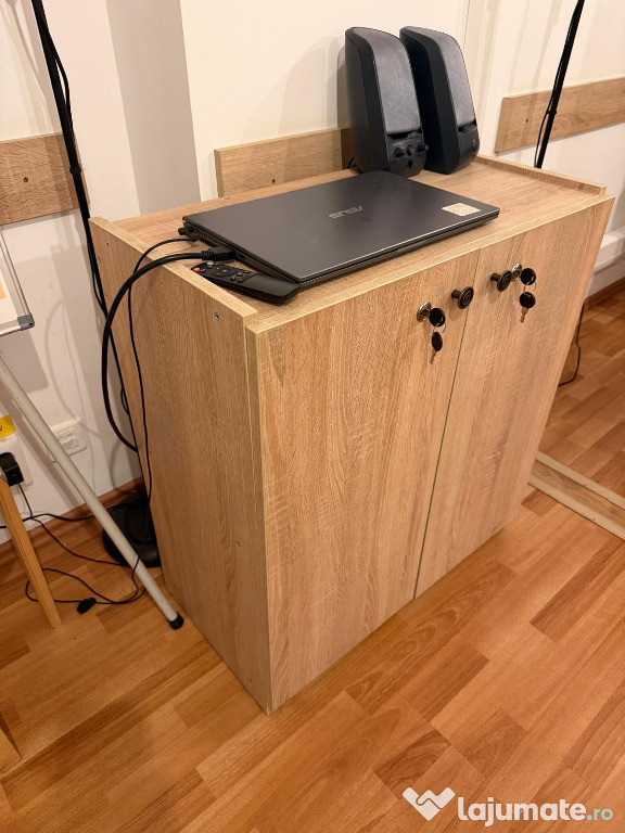 Dulăpior cu utilitate multiplă-2 bucati