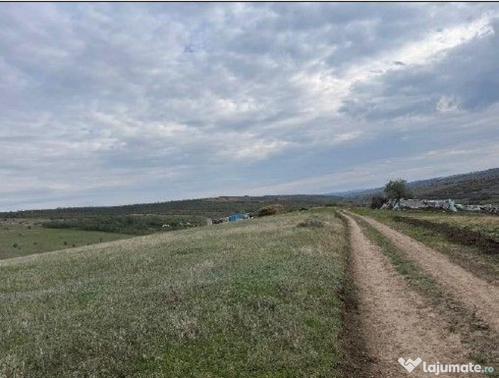 Teren extravilan Perieni, cota parte 6/16 , ID: R2822105