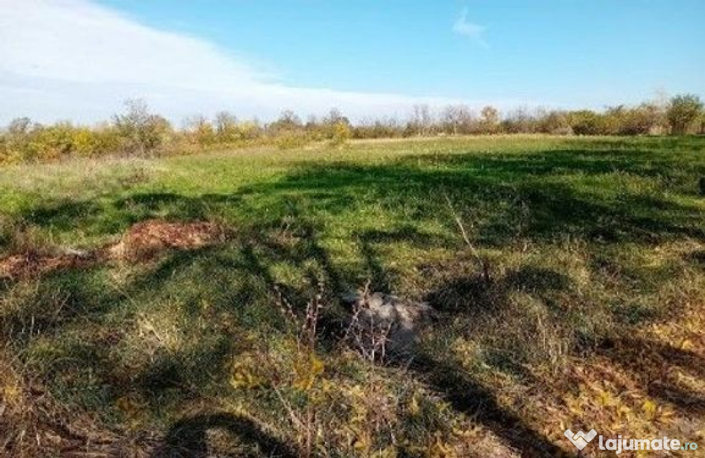 Teren Ungheni, ID: R2832820