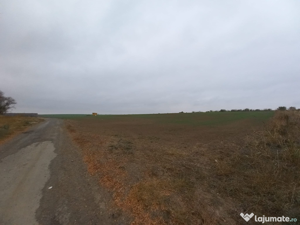 Teren de vanzare in Valu Lui Traian, Cartierul Nou - 403 mp