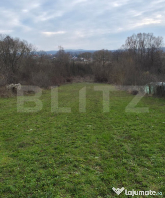 Teren intravilan 3000mp ,sat Plopu, Prahova