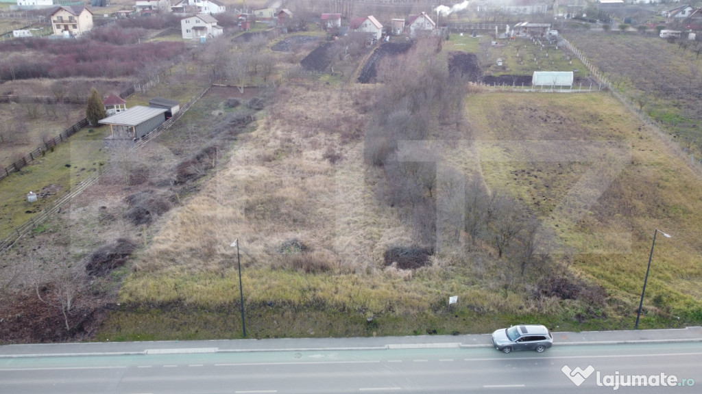 Teren de vanzare - Valea Chintaului
