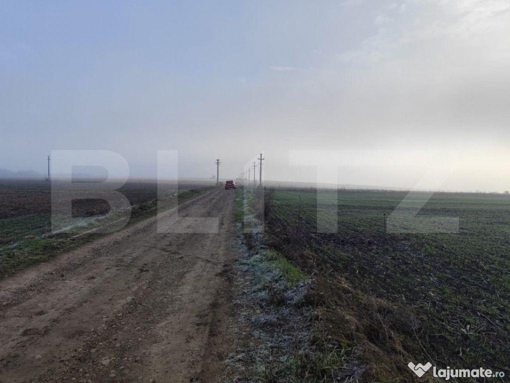 Teren 8400 mp extravilan, Miroslava-Vorovesti