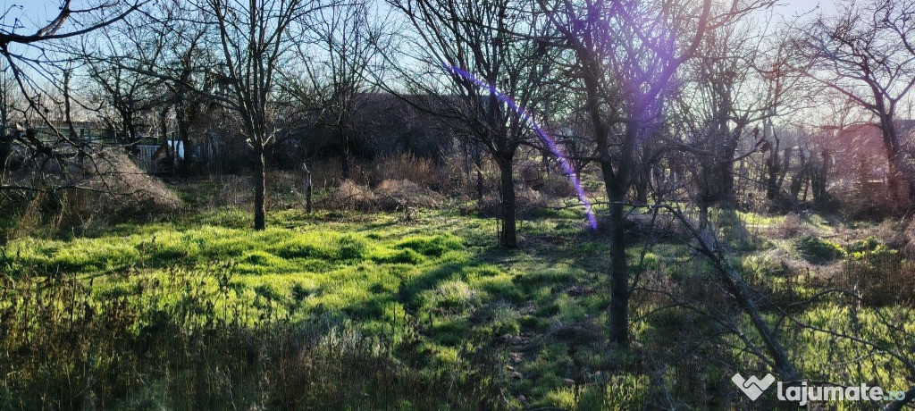 Teren Intravilan + casuta si anexe