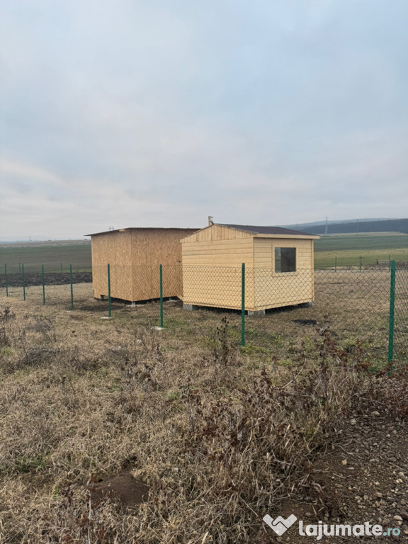 Teren cristur hunedoara 5 euro