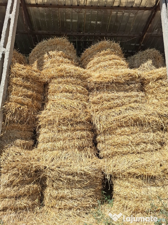 Vând baloți de paie