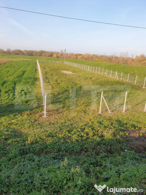 Teren intravilan , 1900mp , in Ambud jud . Satu Mare