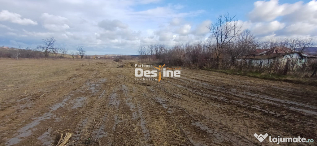 Teren intravilan 1925 mp cu certificat de urbanism si utilit