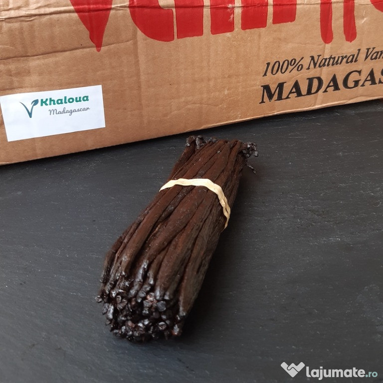 20 sau 40 buc. păstăi de vanilie Bourbon Madagascar S 10-12cm