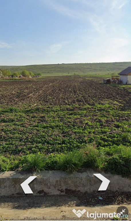 Teren intravilan 1500mp