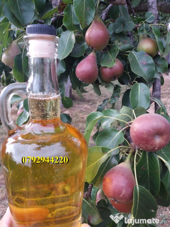 Palinca de:pere,mere,prune,caise,cirese,cirese amare,gutui,capsuni.