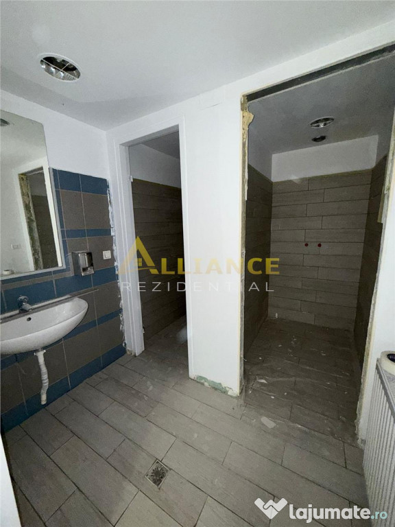 [PARCUL CAROL] Spatiu Comercial P 1 - 233 MP -