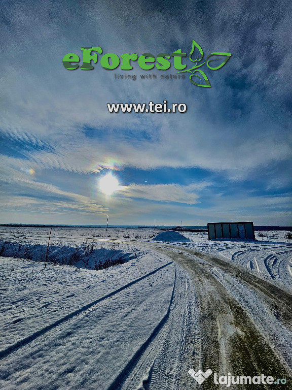 EForest, Loturi de teren langa padure, acces DN1A