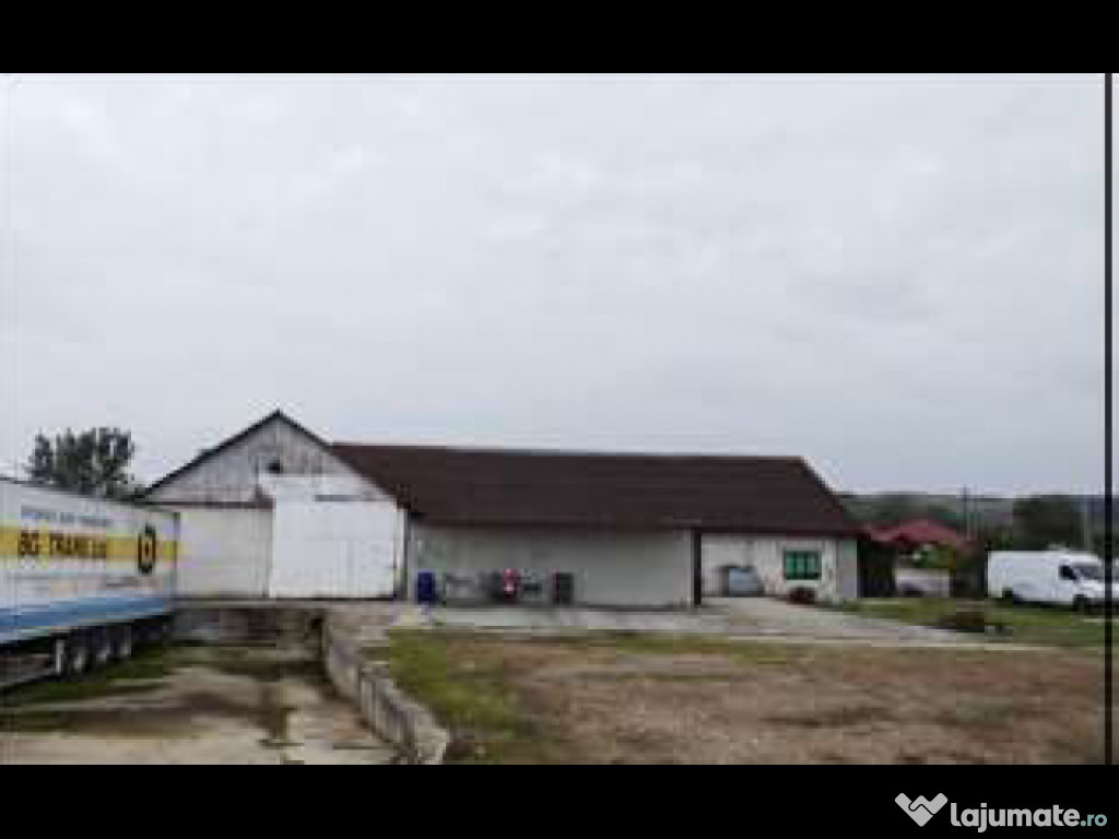 Construcții 839 mp și teren aferent 3854 mp - Romanasi