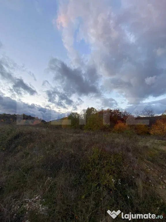 Teren de vânzare – Râmeț, jud. Alba