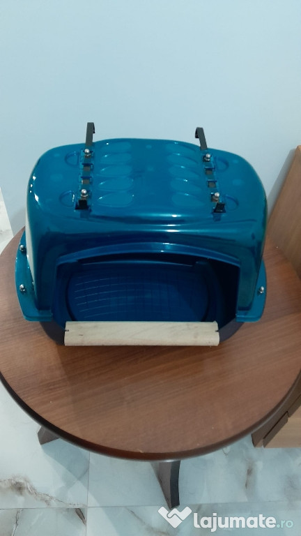 Cadă(piscină) papagali mari