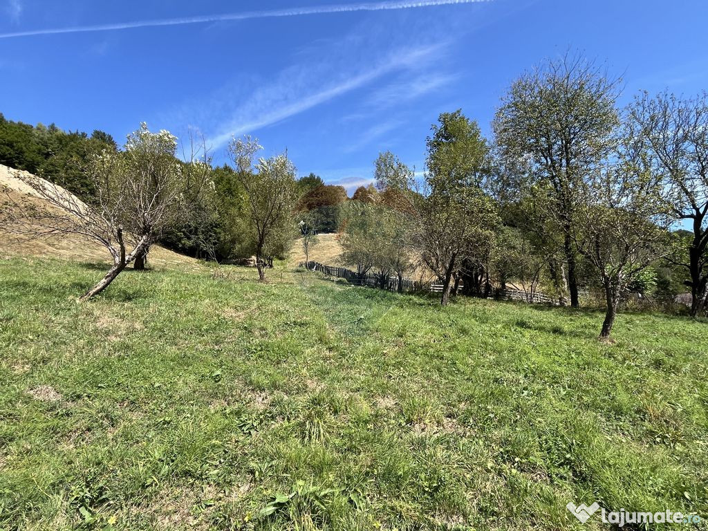 Teren de vanzare Rachitele | Investitie | Comision 0%