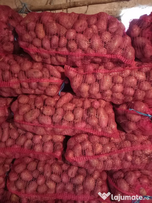 Cartofi consum sortat