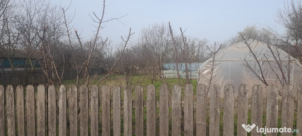 Teren intravilan 1000mp