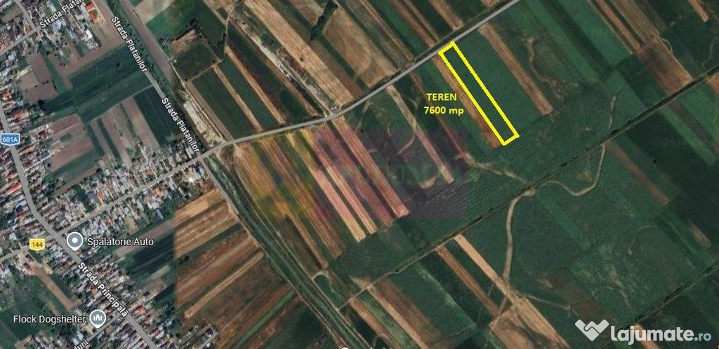 Cosoba, teren 7600 mp intravilan pe str Guliei