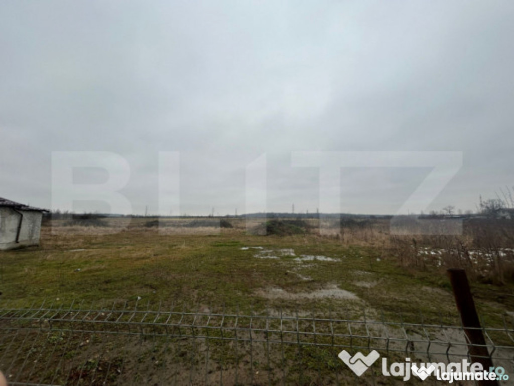 TEREN | PRISEACA | 1716 MP | INTRAVILAN | 20 MP FRONT STRADA