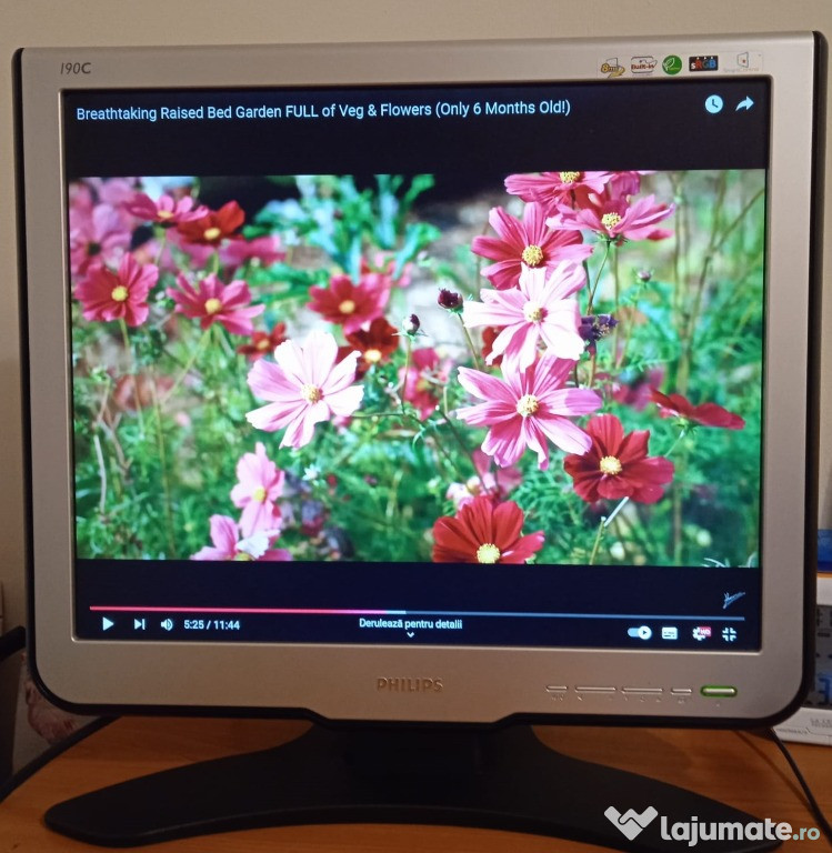 Vand monitor Philips