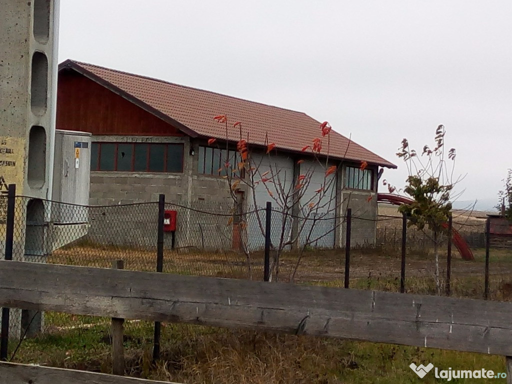 Fermă agrotehnică de vaci Balaceana, Suceava