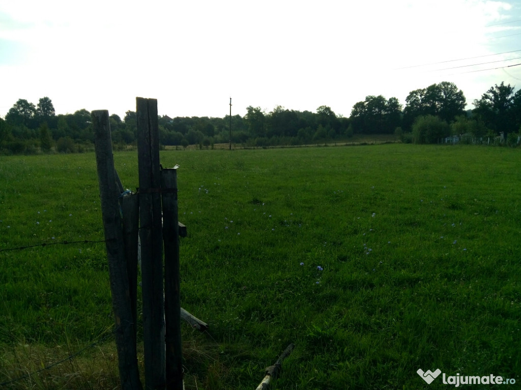 Teren zona Bran 2000mp