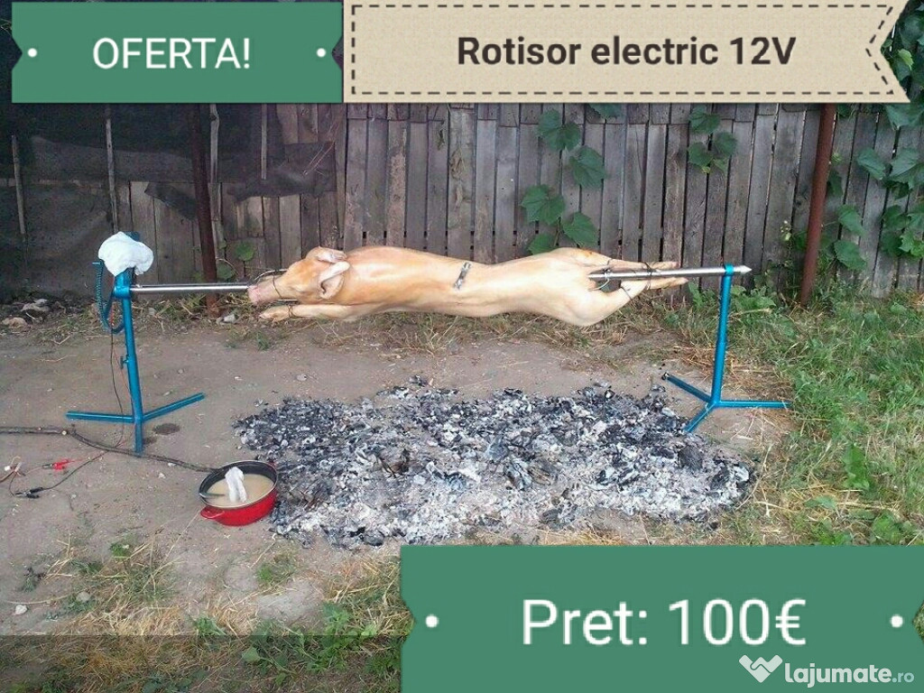 Rotisor electric 12V
