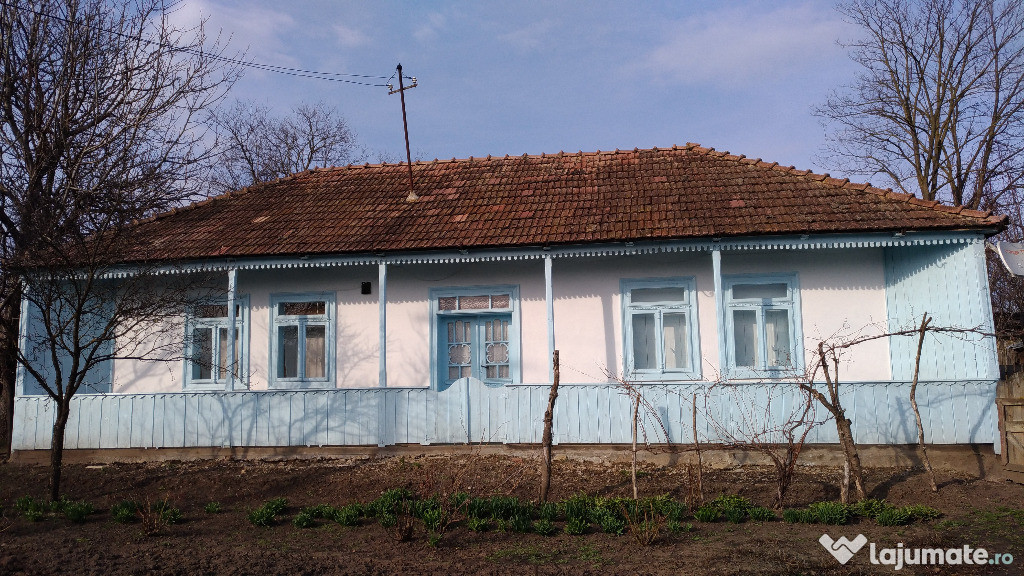 Casa cu gradina 67 Ari Stiubieni Central