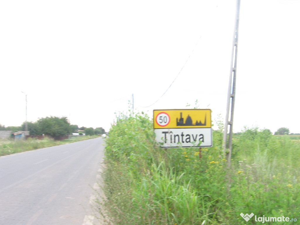 Teren 5000mp, Tantava,Giurgiu, 15km cartier Militari