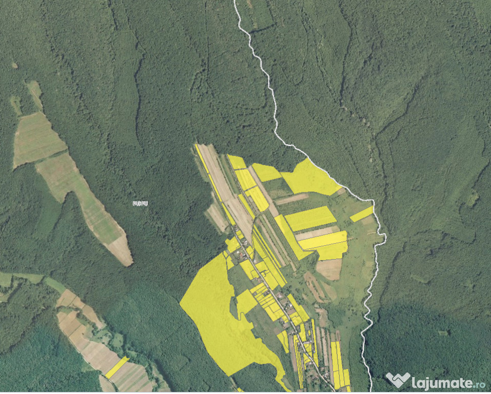 Plopu, Hîrsa - 2.12 ha Teren Agricol la marginea padurii