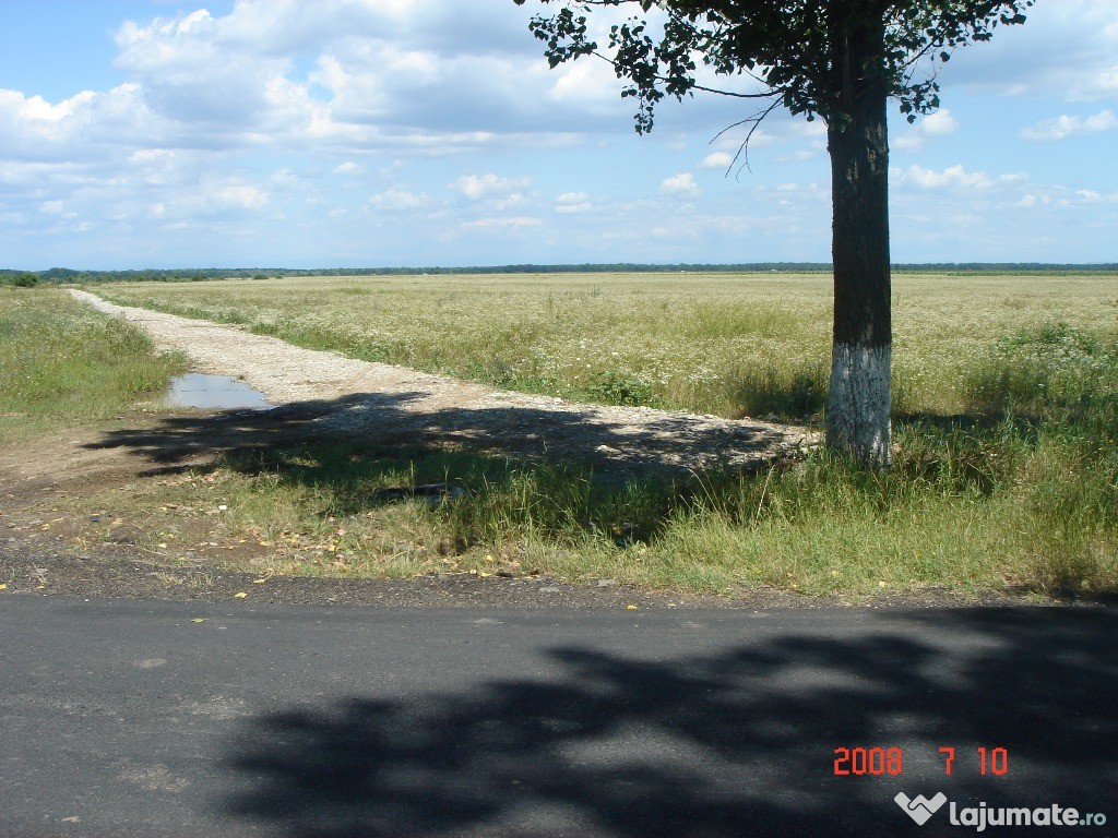 Teren Silistea Snagovului 400mp