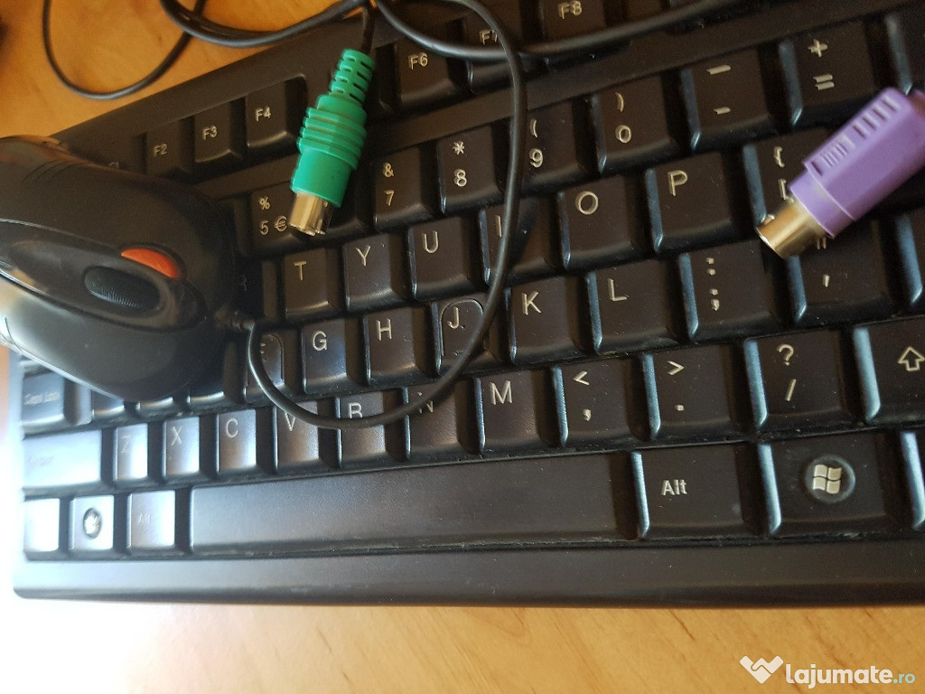 Mouse& tastatura