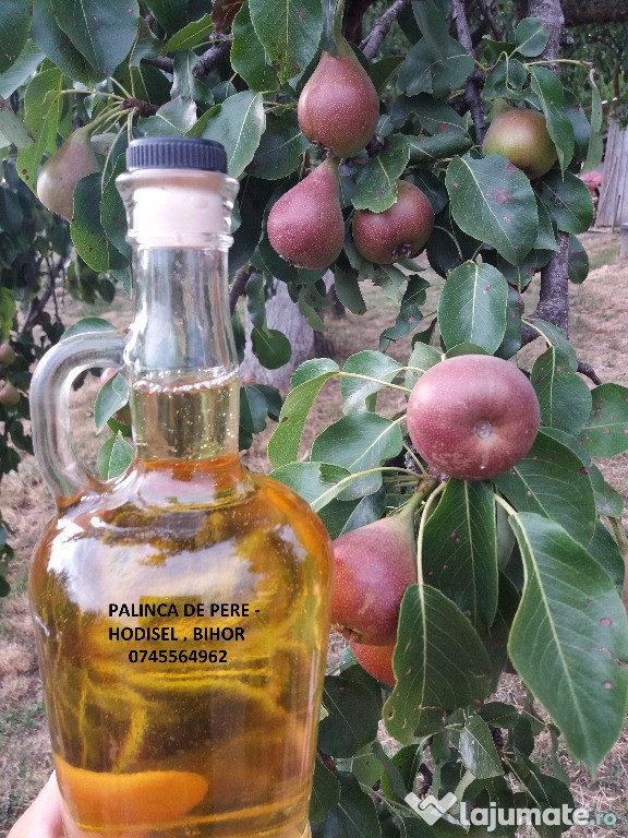 Palinca de: Caise,Gutui,Cirese,Pere, Prune, 52-53 grade