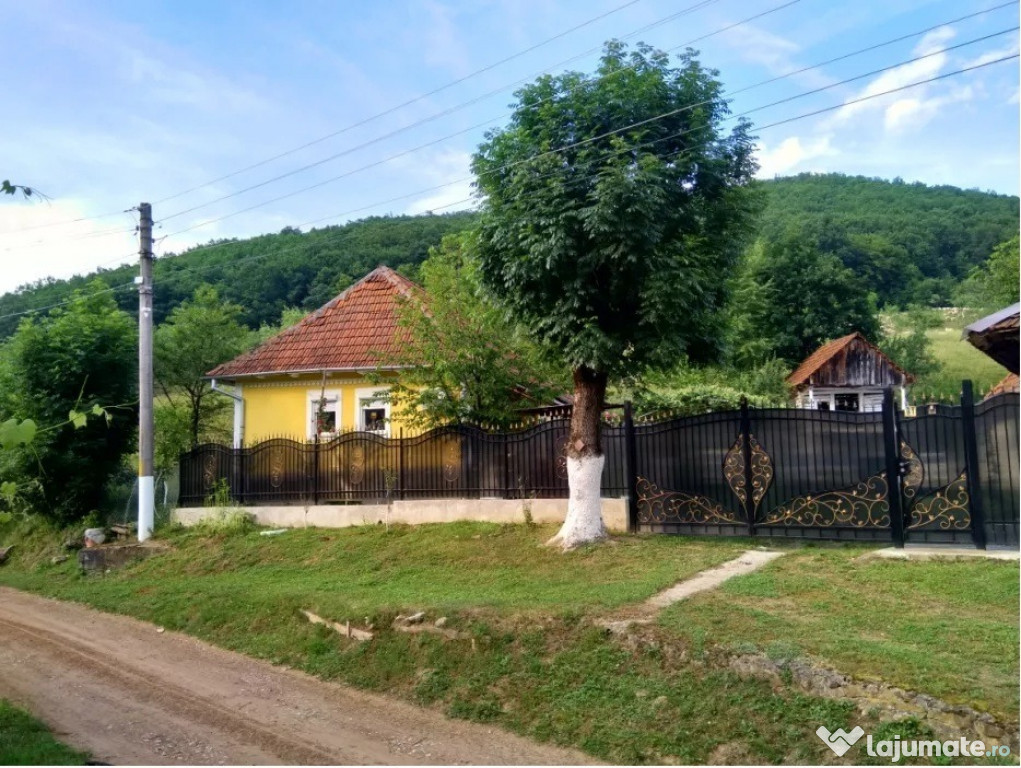 --Casa de vacanta sau de locuit-- Cetea