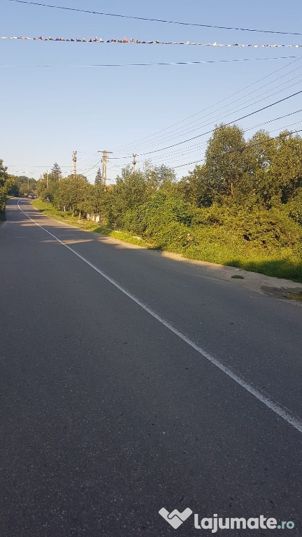 Teren intravilan Niscov 5000mp