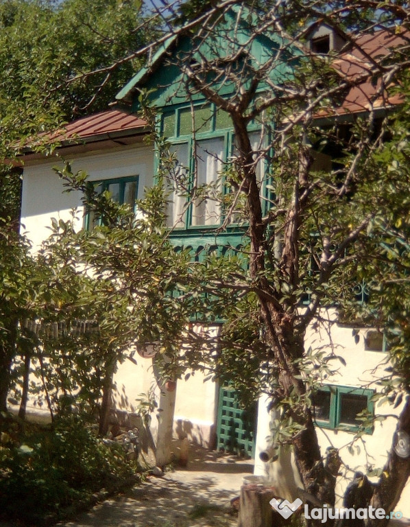 Casa la tara cu 2 case +teren agricol Nenciulesti, Valcea