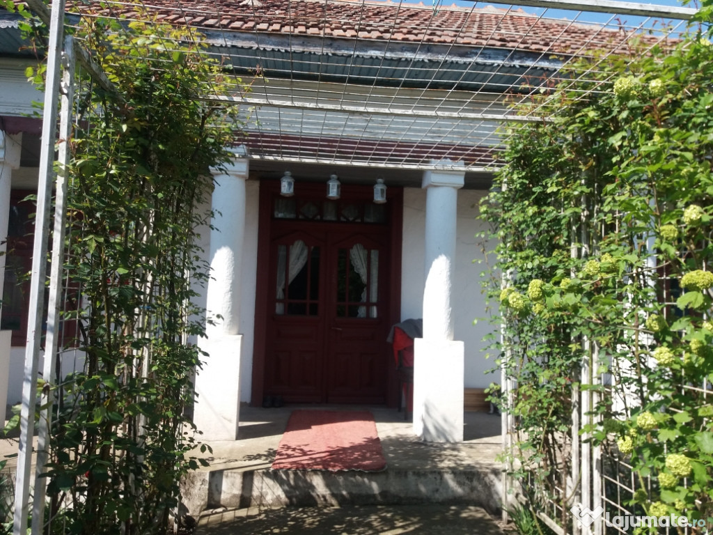 Casa cu teren