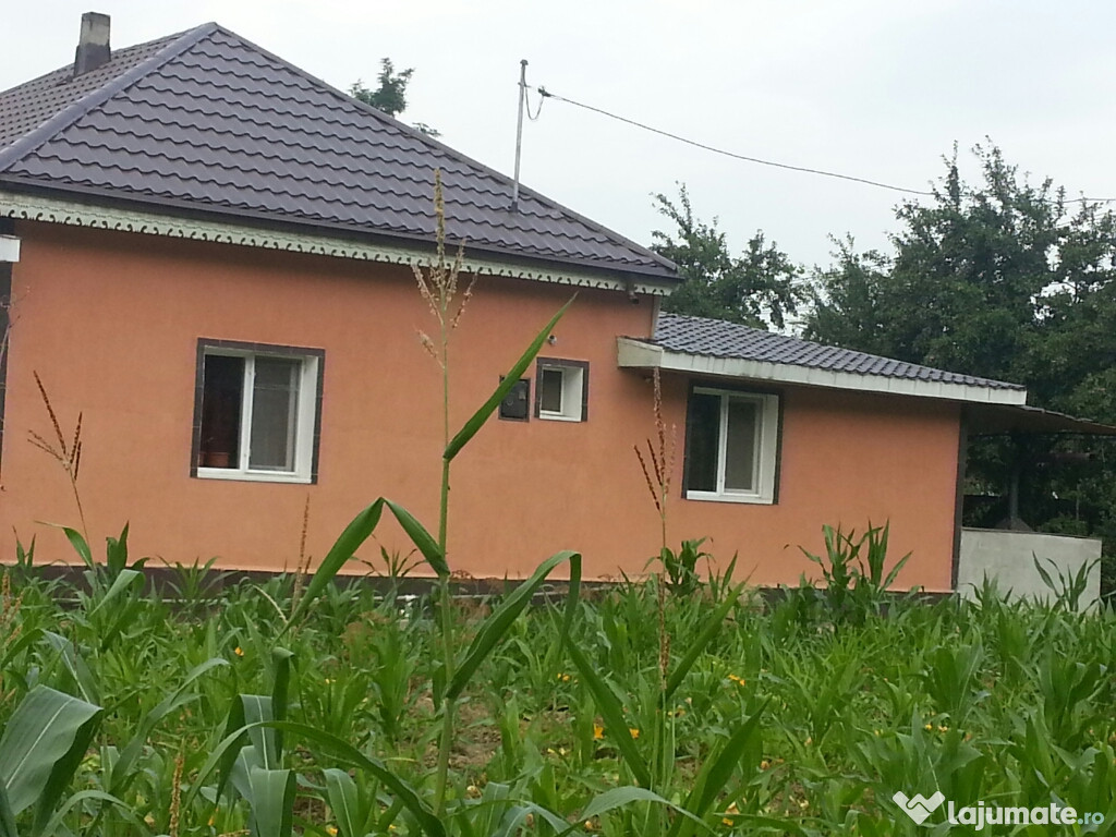 Casa Dienet la 35km de Bacau