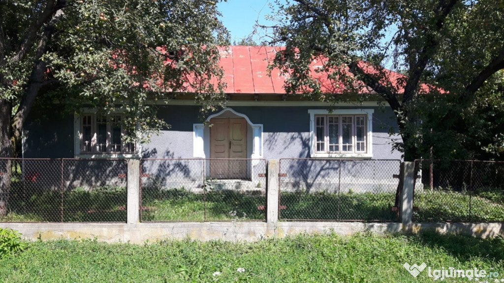 Casa batraneasca cu 2600 mp in sat Galbeni, comuna Filipesti