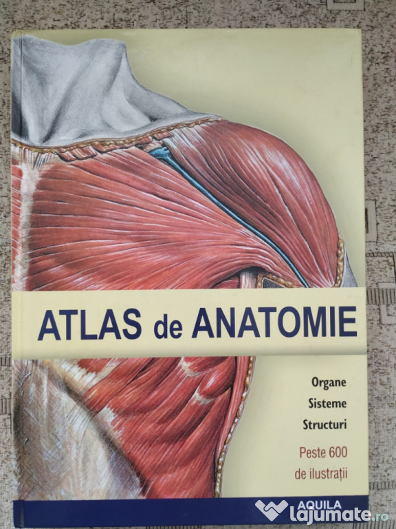 Atlas Anatomie