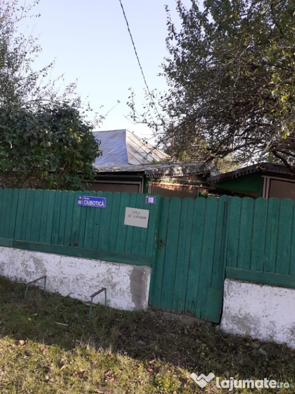 Casa Nifon