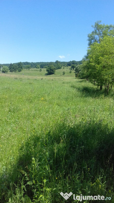 Parcele teren intravilan de 1650 mp fiecare -Utilitati