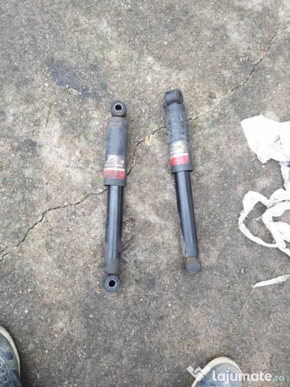 Set 2 telescoape fata iveco daily