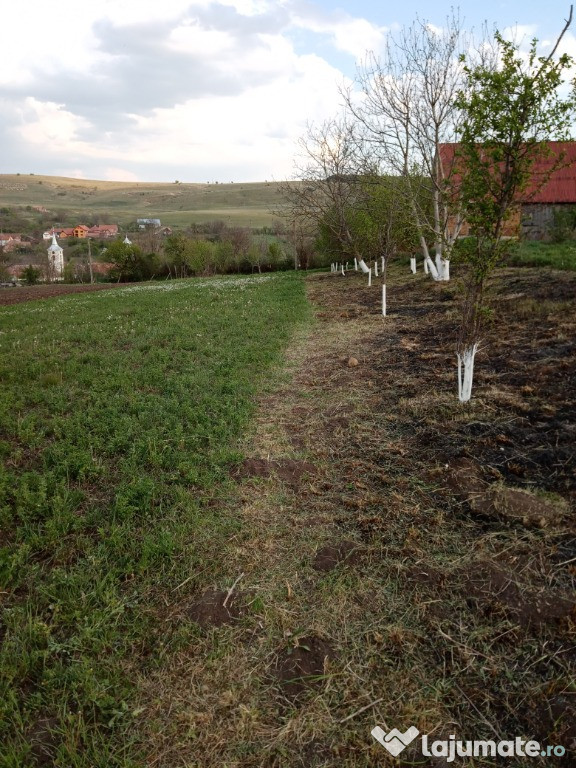 Teren intravilan în comuna spring