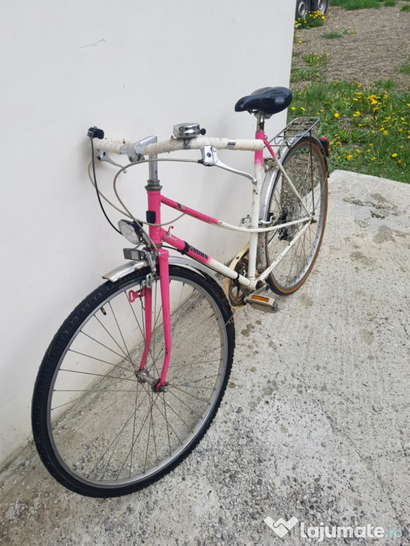 Bicicleta adulti