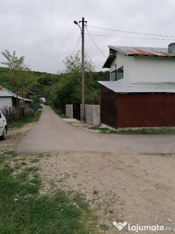 Teren intravilan iedera