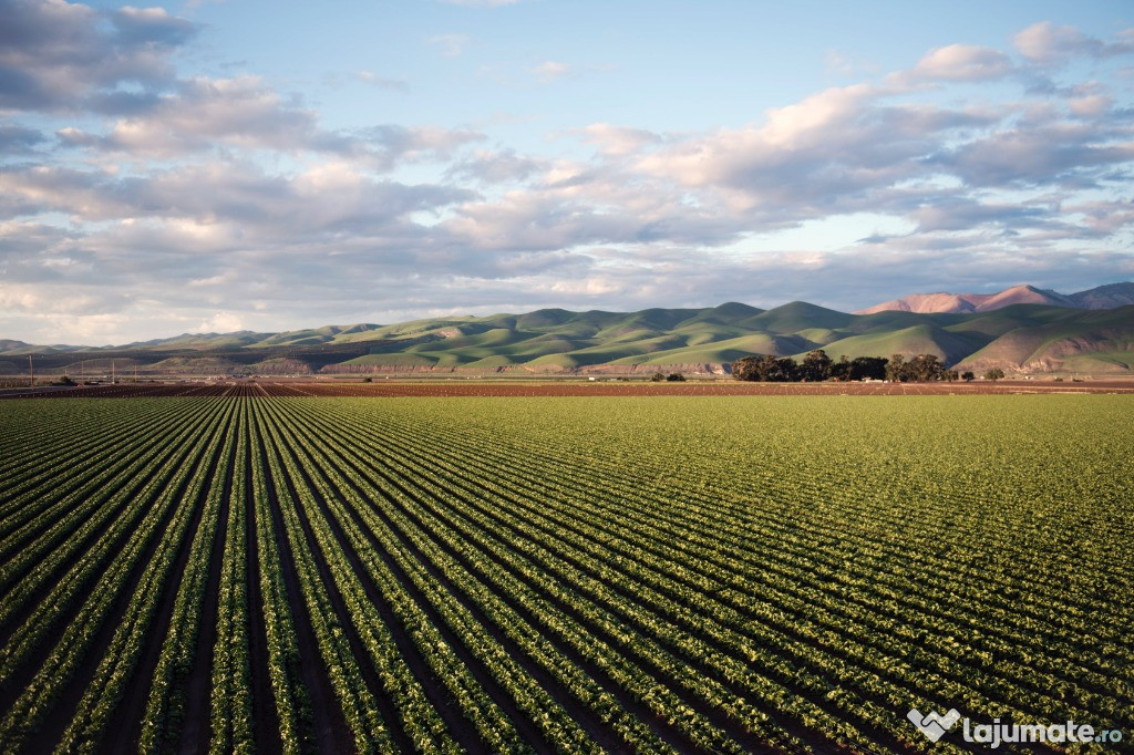 Teren agricol Olt suprafata 450 ha comasare 90%