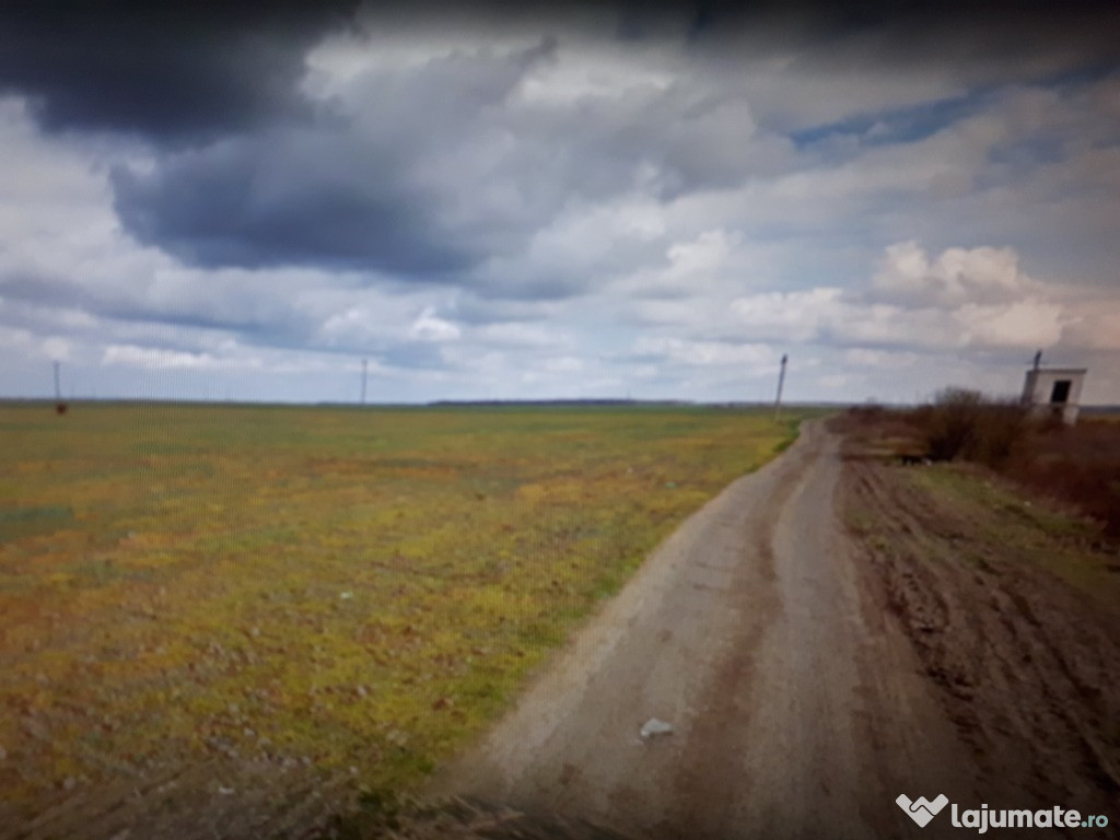 Teren extravilan in Dimieni, Ilfov